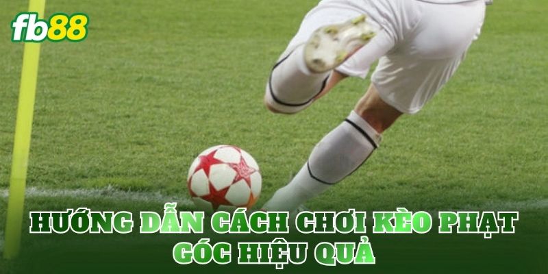 Kèo Phạt Góc Là Gì? Cách Chơi Và Soi Kèo Chuẩn Xác 3 Hướng dẫn cách chơi kèo phạt góc hiệu quả