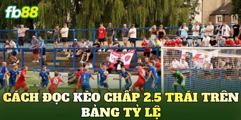 Ý Nghĩa Kèo Chấp 2.5 Trái Và Cách Đọc Chuẩn Nhất 3 Cách đọc kèo chấp 2.5 trái trên bảng tỷ lệ