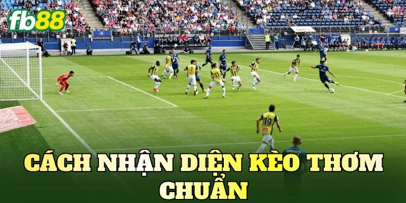 Cách Nhận Diện Kèo Thơm Chuẩn Cho Người Chơi Cá Cược 1 Cách Nhận Diện Kèo Thơm Chuẩn