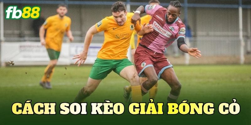 Cách Soi Kèo Giải Bóng Cỏ Chuẩn Cho Người Chơi FB88 1 Cách Soi Kèo Giải Bóng Cỏ