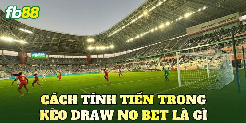 Kèo Draw No Bet Là Gì? Hướng Dẫn Hiểu Kèo DNB Dễ Nhất 3 Cách tính tiền trong kèo Draw No Bet là gì