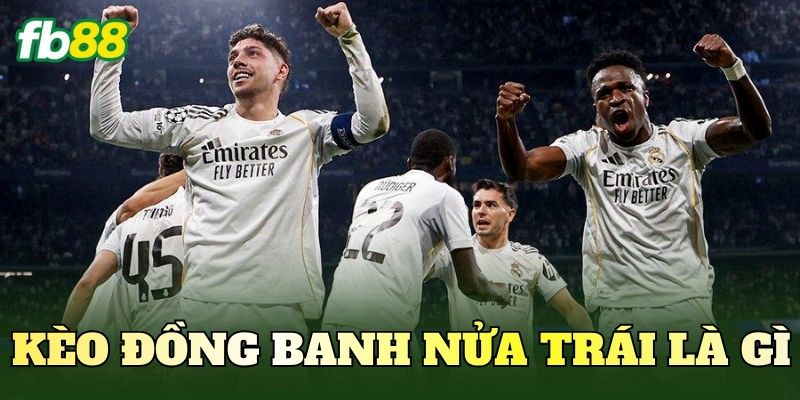 Kèo Đồng Banh Nửa Trái Là Gì? Cách Đọc Kèo 0.25 1 Kèo Đồng Banh Nửa Trái Là Gì