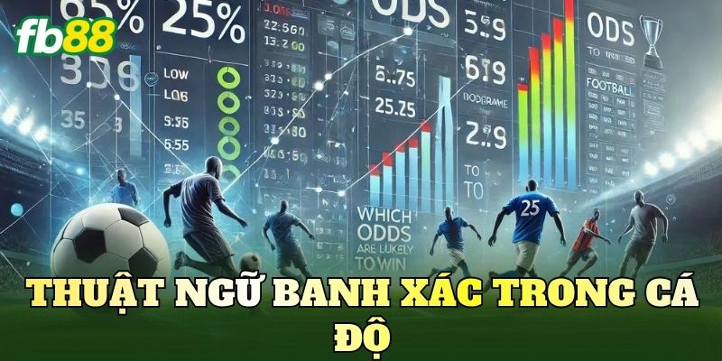 Thuật Ngữ Banh Xác Trong Cá Độ Là Gì? Giải Mã Chi Tiết 1 thuat ngu banh xac trong ca do