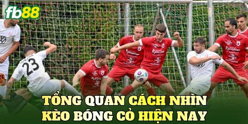 Cách Soi Kèo Giải Bóng Cỏ Chuẩn Cho Người Chơi FB88 2 Tổng quan cách nhìn kèo bóng cỏ hiện nay