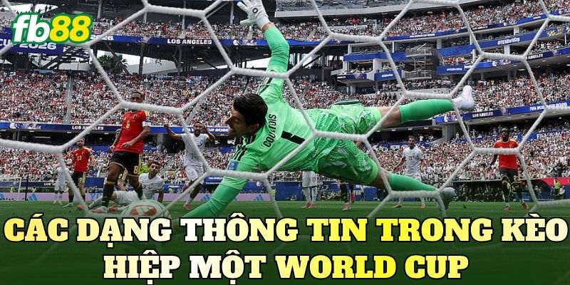 Kèo Hiệp Một World Cup: Cập Nhật Tỷ Lệ Và Thông Tin Mới 3 Các dạng thông tin trong kèo hiệp một World Cup