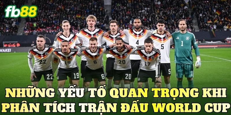 Soi Kèo Châu Âu World Cup: Phân Tích Trận Cầu Đáng Chú Ý 3 Những yếu tố quan trọng khi phân tích trận đấu World Cup