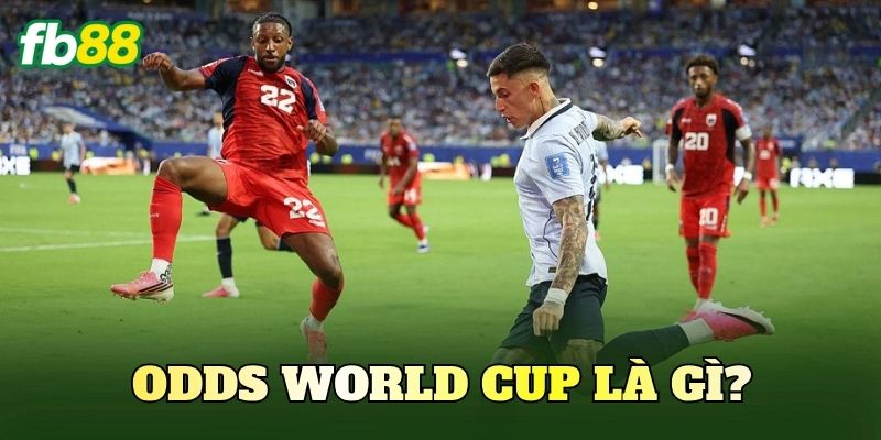 Cách Soi Kèo Odds World Cup Chuẩn Cho Người Mới 2 Odds World Cup là gì?