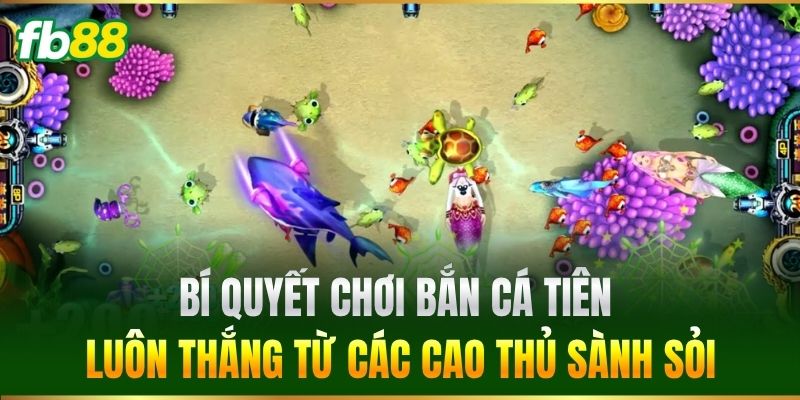 Bắn Cá Tiên FB88 - Săn Thưởng Khủng Nhận Ngàn Xu Cực Dễ 4 Bí quyết chơi Bắn Cá Tiên luôn thắng từ các cao thủ sành sỏi